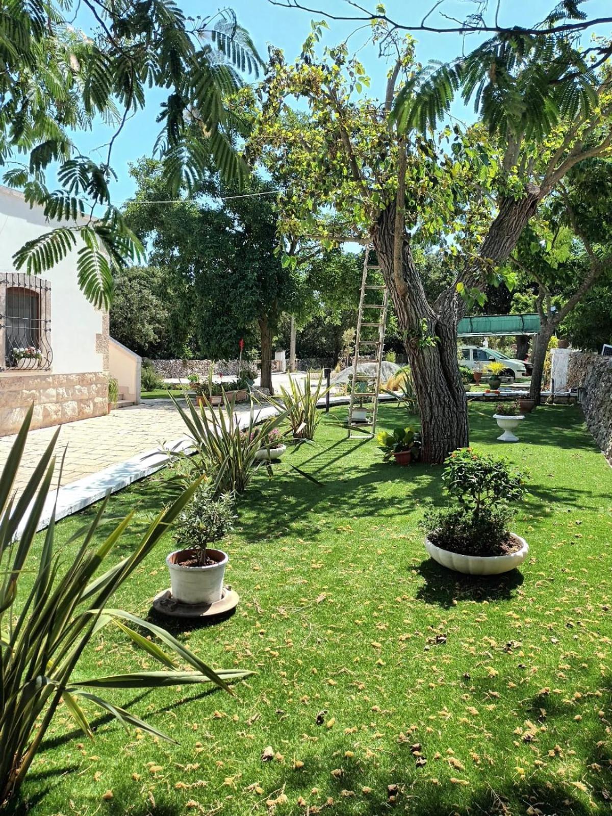 Trulli Allegretti Noci Exterior foto